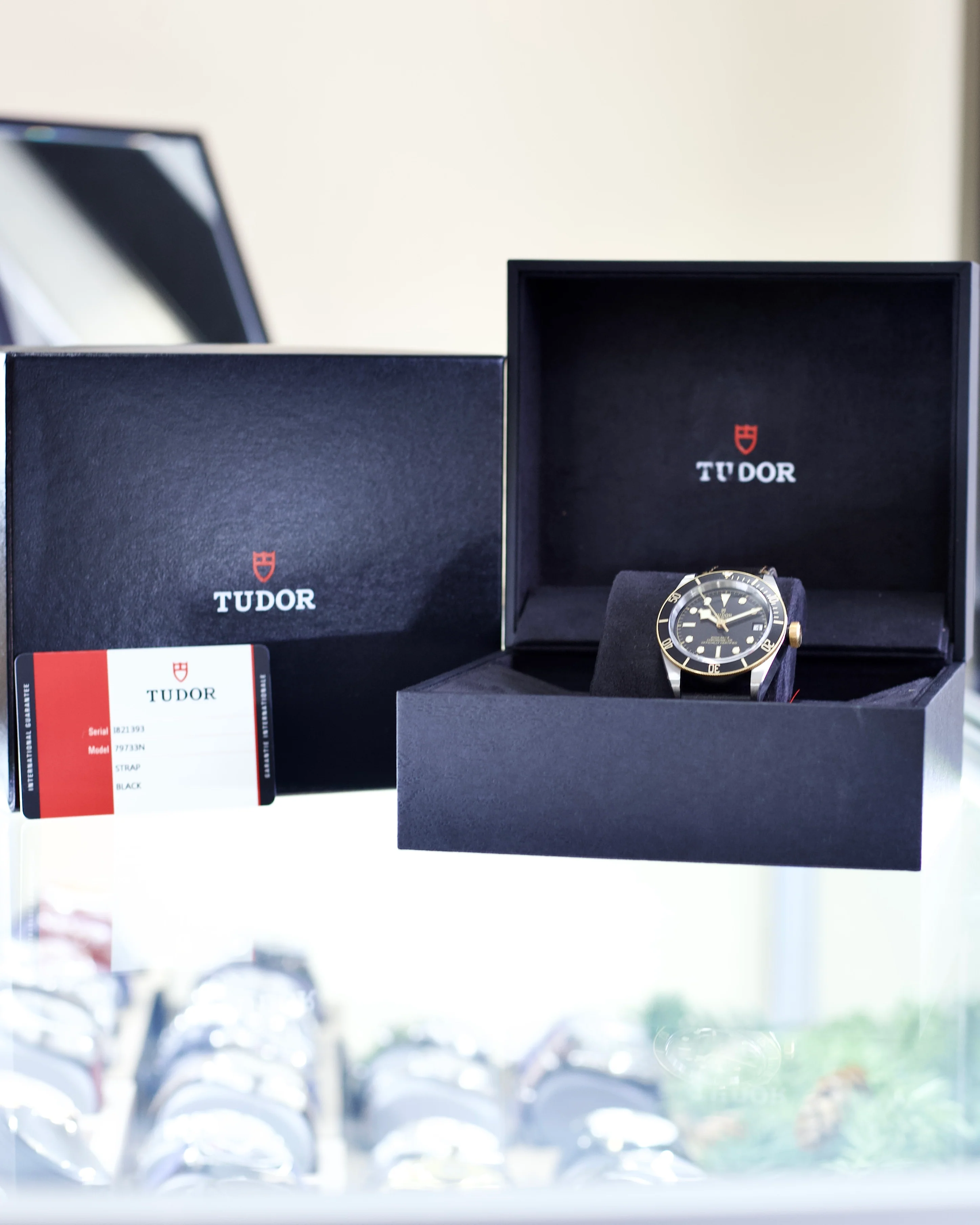 2018 Tudor Black Bay m79733n S&G 41mm - Image 5