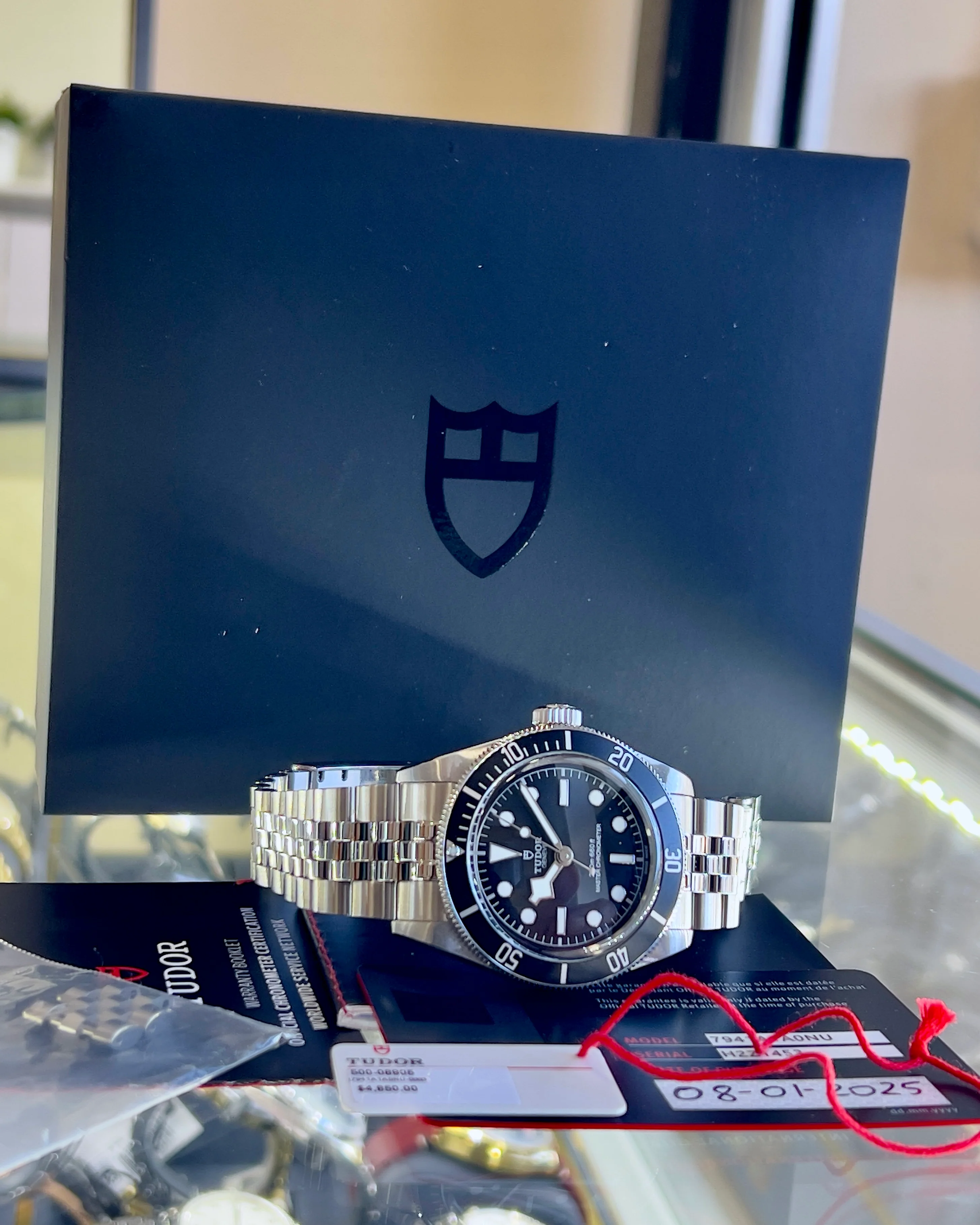 2025 Tudor Black Bay Monochrome M7941A1A0NU 41mm - Image 9